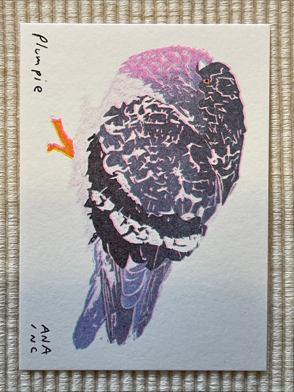 Anastasia Inciardi "Plumpie” Pigeon Mini Print - Picture 2 of 3